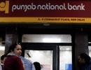 PNB pays Rs 6,586 cr to other banks for NiMo scam