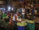 Why fruit and vegetables from Kerala are banned in Gulf