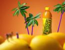 Ramesh Chauhan's Bisleri to take on Prakash's Frooti with mango drink