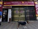 PNB fraud case: Centre, SC at loggerheads