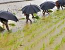 Can poor monsoons rain on the BSE's parade?