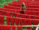 Why India is staring at 10-15% decline in textile production