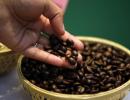 The French Press, OYO's gift to India's coffee lovers