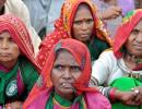 Tribal eviction: 'SC order a setback for conservation in India'