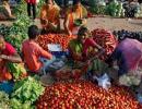 Retail inflation soars to 8-yr high of 7.79% in April