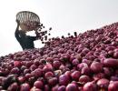 Maha farmer kills self over onion price crash