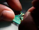 'Semiconductor chip prices are up 50%'