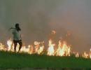 Paying farmers for not burning stubble is wrong