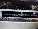 Indian Immunologicals to set up new vaccine plant