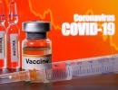 How govt plans to transport Covid vaccines