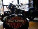 For Harley-Davidson, Indian roads were always bumpy