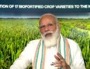 Will Modi's farm reforms ensure food security?