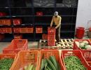 BigBasket may soon seal $1 billion deal with Tatas