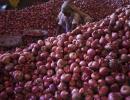 India to import 25,000 tonnes onion before Diwali