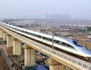 HC allows to cut 20,000 mangroves for bullet train