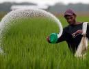 El Nino effect: Agrochem firms may face headwinds