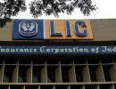 Govt mulls permitting foreign investment in LIC