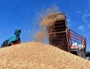 India in sweet spot as commodity prices are on uptick