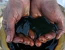 Oil prices need to sober a bit: India to OPEC