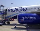 IndiGo CEO Ronojoy Dutta gets ESOP worth Rs 14 cr