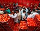 Tomato prices skyrocket to Rs 93 per kg in metros