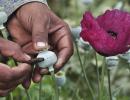 Centre allows a private player to process opium