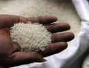 India defends its decision to ban rice, wheat exports