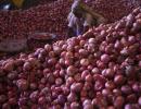 Govt to procure 200K-tonne onions amid farmer protest