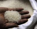 Why global rice markets are in turmoil