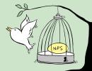 NPS: Best For Retirement, Tax Saving