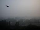 What airlines must do to tackle fog menace