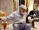 Strays of south Mumbai lose their best friend Tata