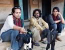 'I had never planned to make Peepli Live'