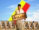 Mylari, Shivanna's Christmas treat