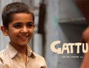 Review: Gattu is a must watch