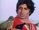 Quiz: Name Amitabh's falcon in Coolie