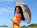 PIX: Veena Malik's HOT song in Kannada's Dirty Picture