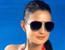 Ameesha Patel: Have stopped thinking of what will boost my career