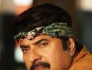 Mammootty banks on his next three releases