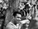 Salman Khan's day out with monkeys!