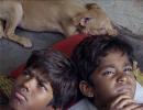 Review: Kaaka Muttai is brilliant