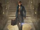 Fantastic Beasts and Where to Find Them Review:The magic is back!