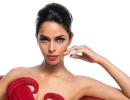 Mallika Sherawat's SUPERSTAR life, in pictures!