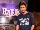 'Why should I compare Raees's collections to Dangal or Sultan?'