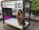 Cannes 2018: Why was Mallika in a cage?