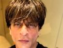 Is this Shah Rukh's next film?