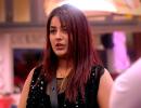 Bigg Boss 13: Are Shehnaaz-Sidharth an item?