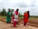 Why Sonu Sood sent a tractor to these girls