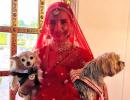 Patralekhaa's Pets Attend Her Wedding