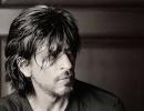 Will We See Shah Rukh Khan On OTT?